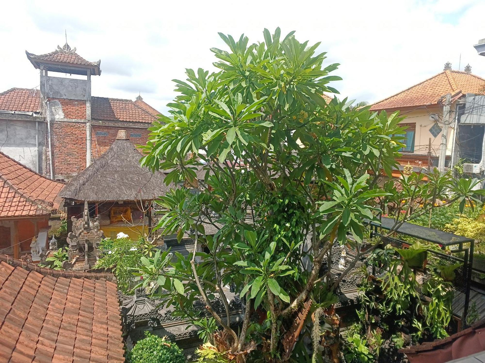Arjuna Homestay Ubud Exteriér fotografie