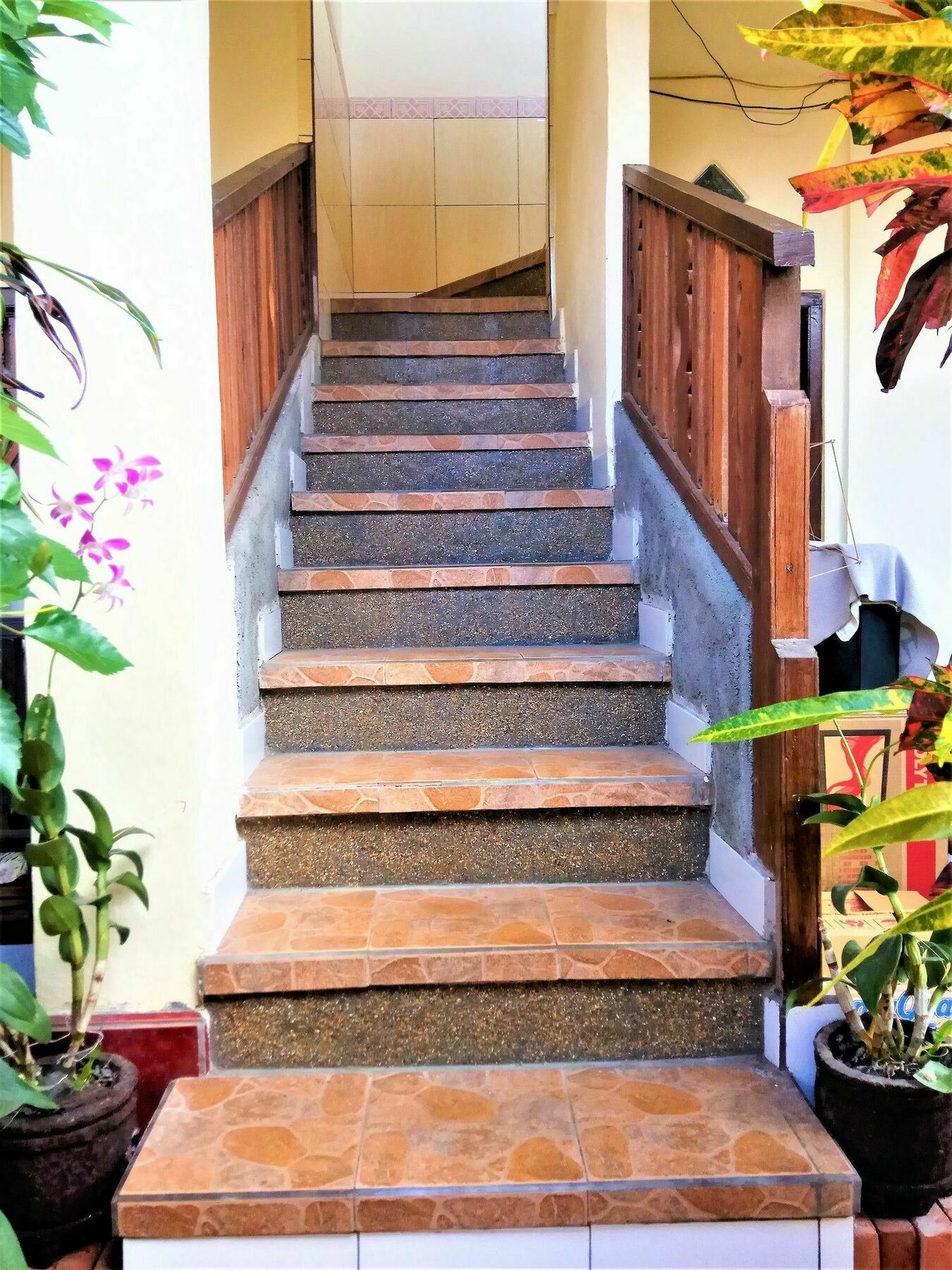 Arjuna Homestay Ubud Exteriér fotografie